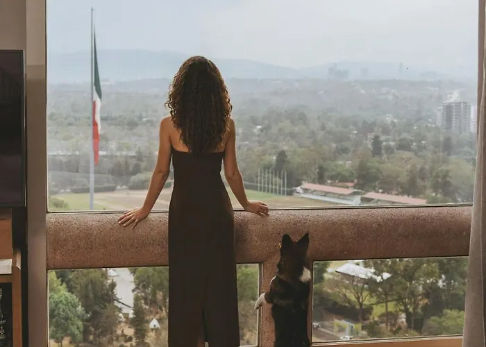 Jw Marriott Polanco Hotel